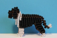 barbet